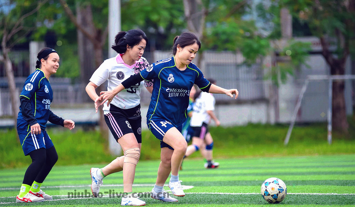 四段阶梯状流程光带，每段以不同亮度区分阶段